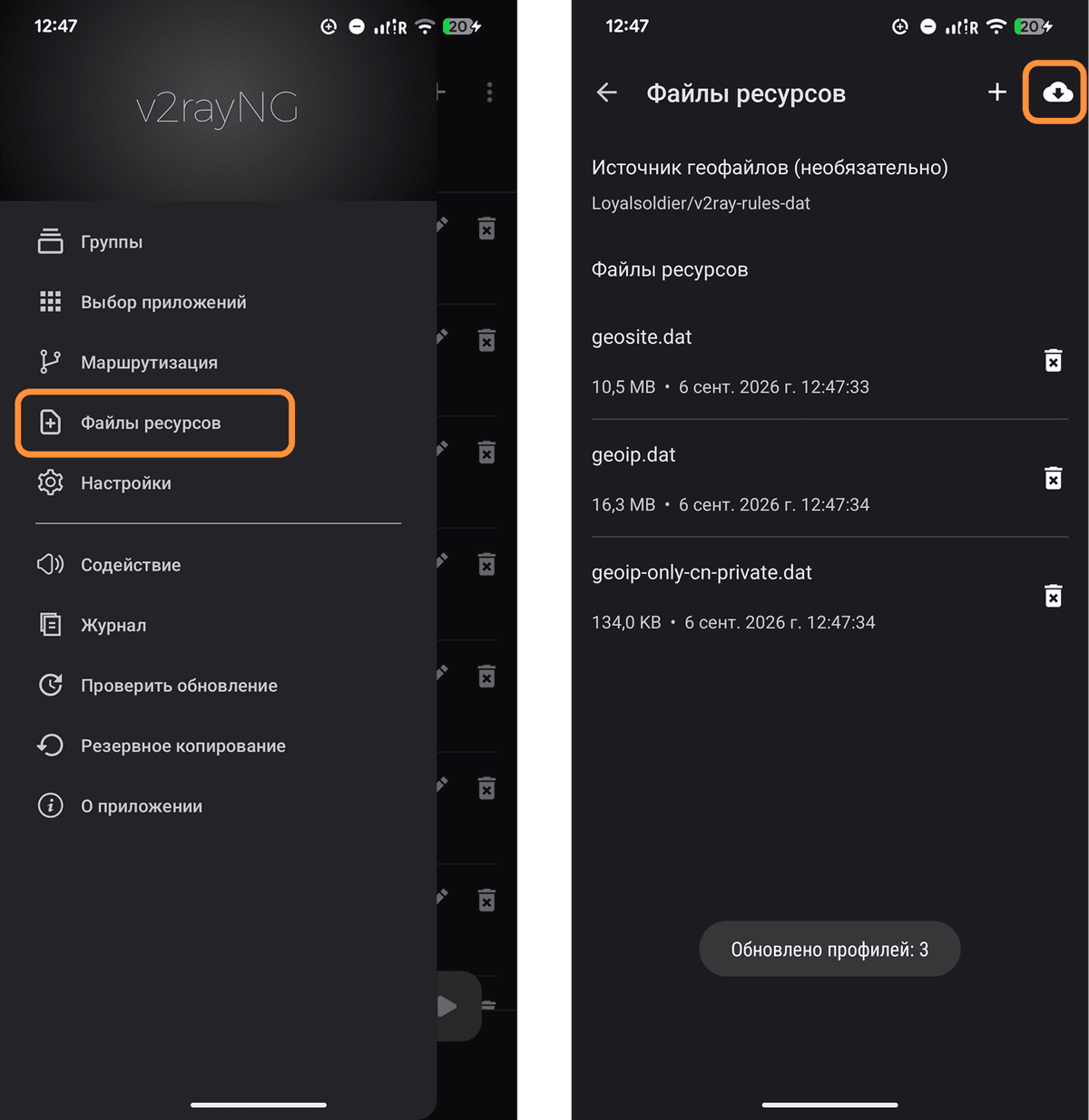 Меню «Файлы ресурсов» и кнопка обновления в v2rayNG